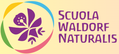 logo banner scuola naturalis