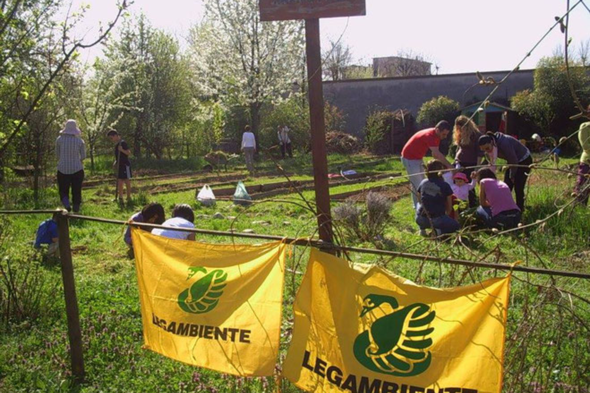 orto centro estivo 1200x900